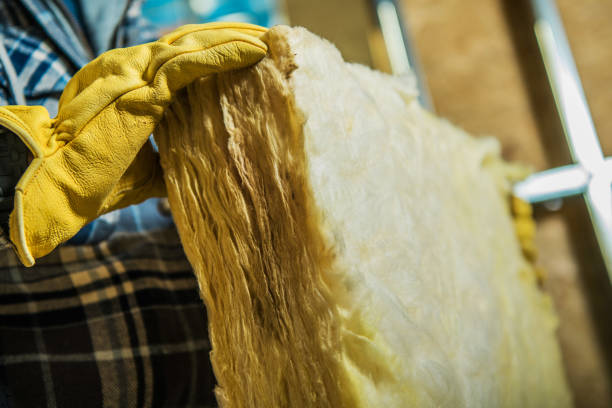 Best Wall Insulation Contractor  in East Gaffney, SC