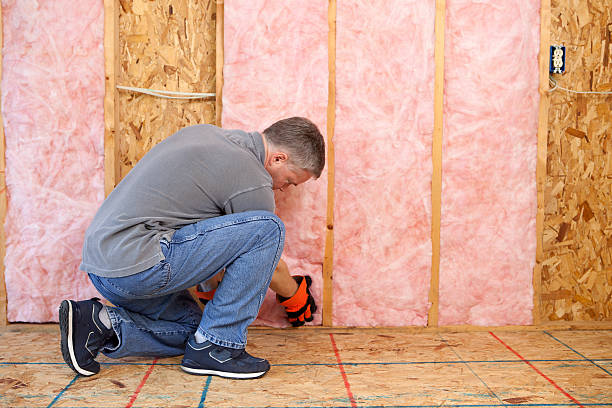 Best Insulation Replacement Services  in East Gaffney, SC