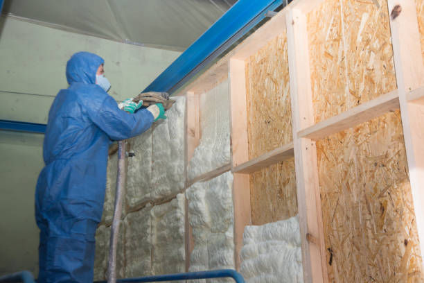 Best Wall Insulation Contractor  in East Gaffney, SC